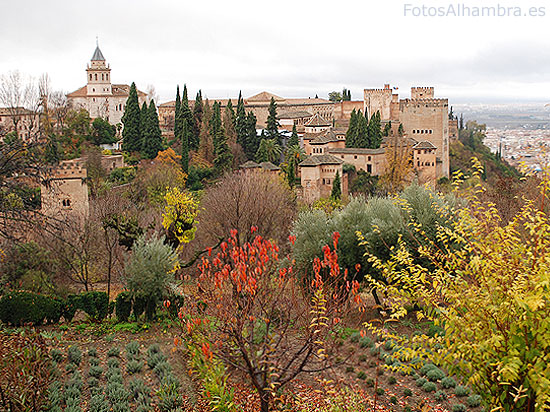 La Alhambra vista desde el Generalife