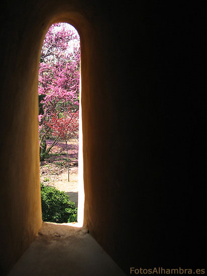 Vista de los jardines de la Alhambra desde una torre